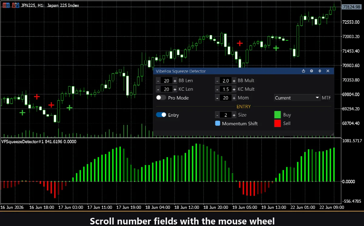 VibeFox Squeeze Detector MT5